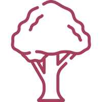 picto d'un arbre
