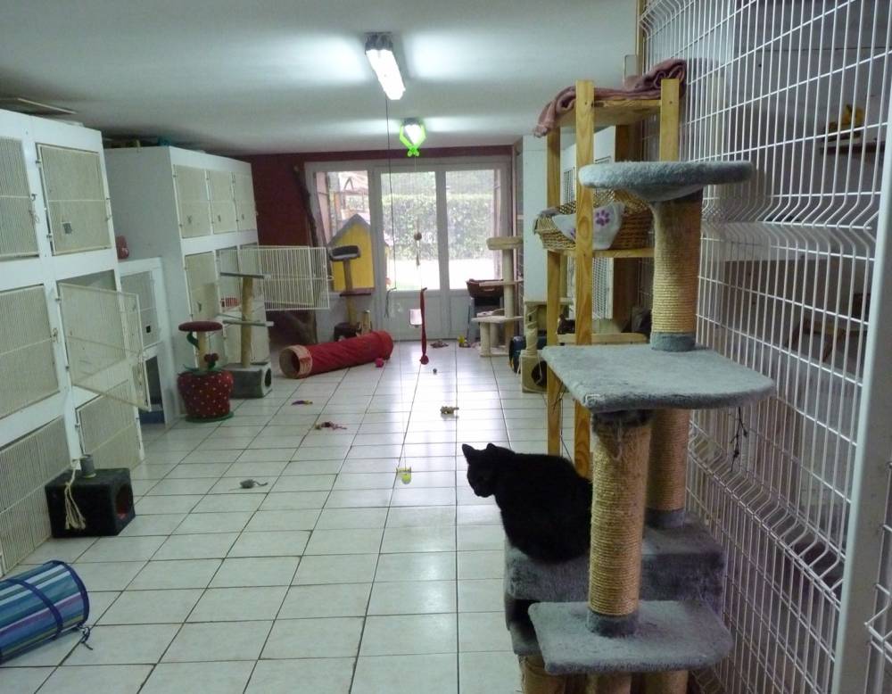 box individuel pour chat à La Boisse