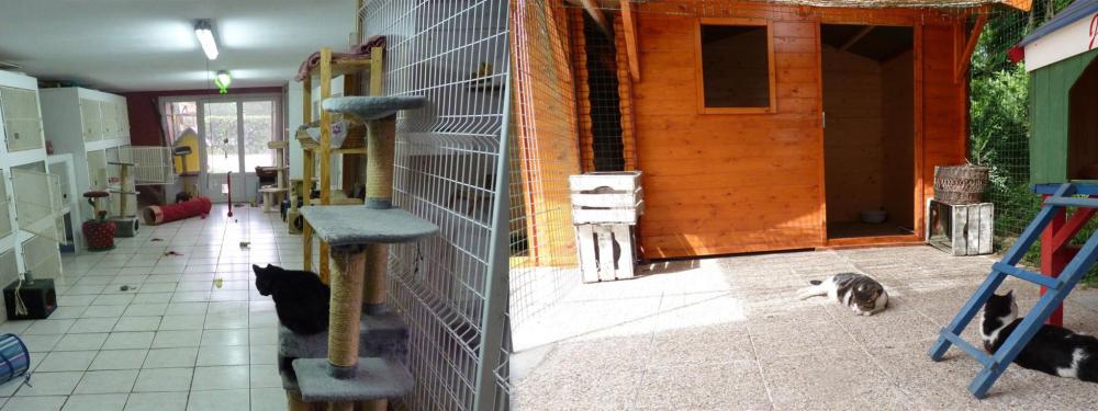 espaces-chats